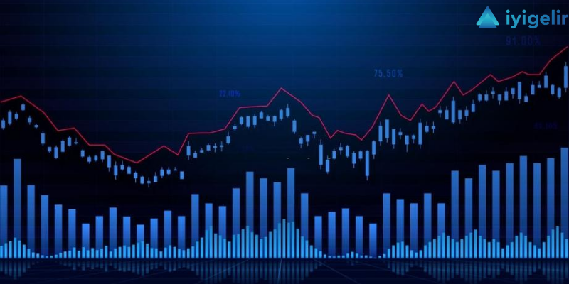 Yatırım Fonları Performans Raporu Haziran 2020