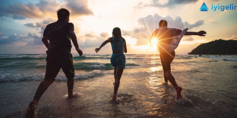 Emeklilik Yatırım Fonları Performans Raporu Aralık 2020