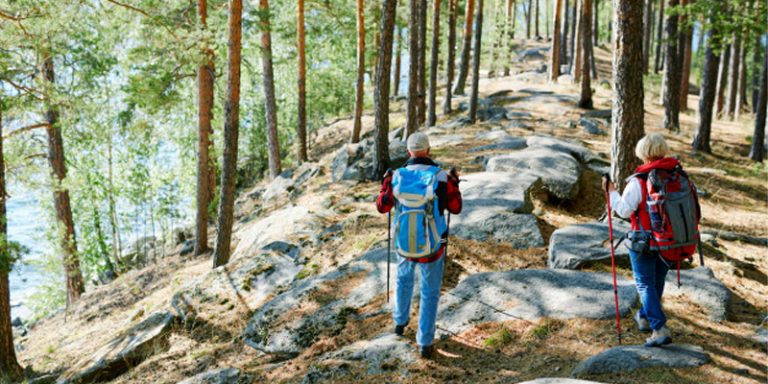 Emeklilik Yatırım Fonları